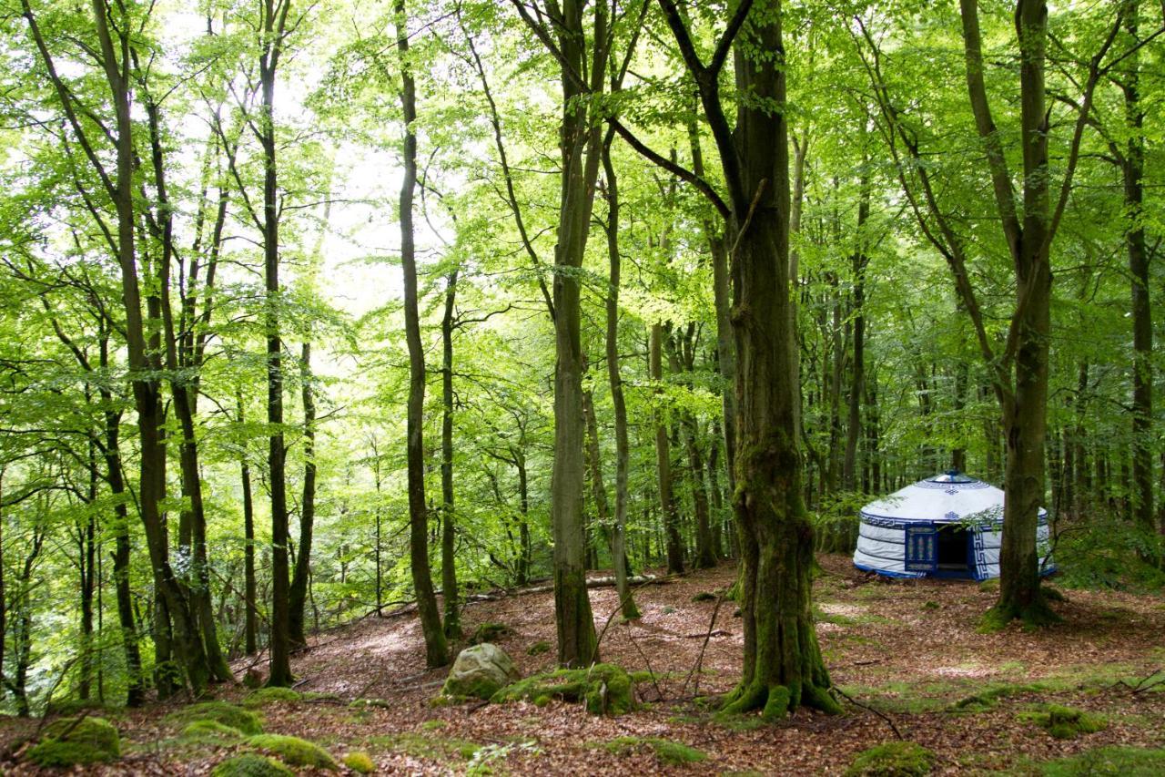 Stf Nyrups Naturhotell Höör Buitenkant foto