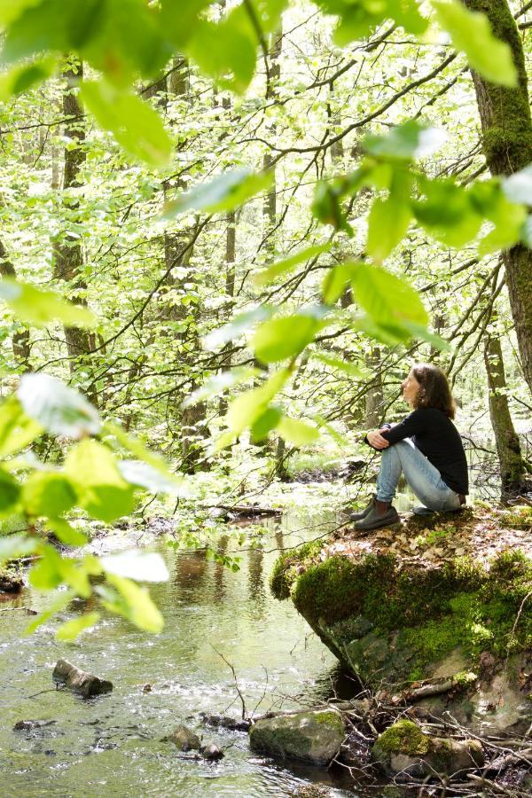 Stf Nyrups Naturhotell Höör Buitenkant foto